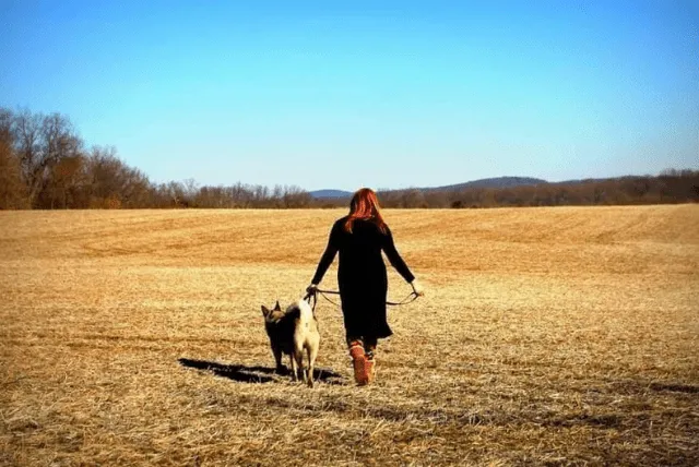 An Adoptees Mental Health