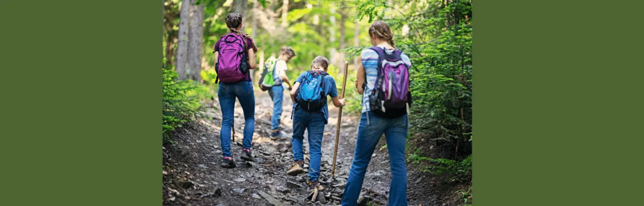 Let's Take a Hike Website Image (1810 × 580 px)