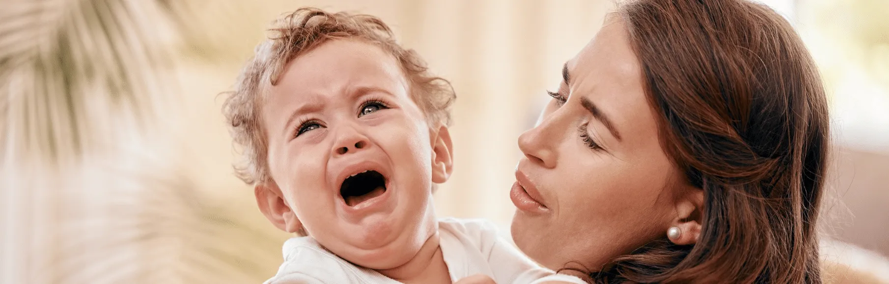 April 2024 SYF Hero Image