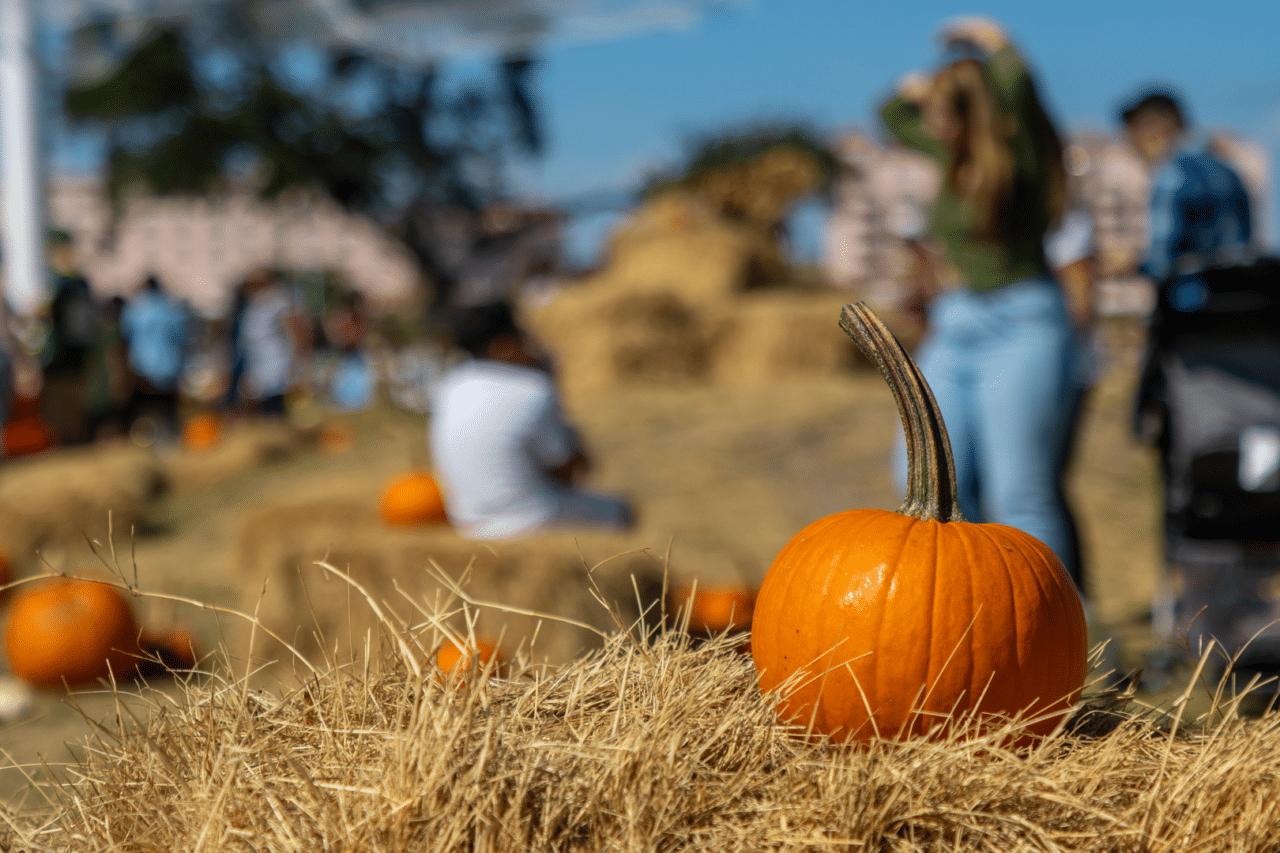 Pumpkin sitting on hay, people blurred in background