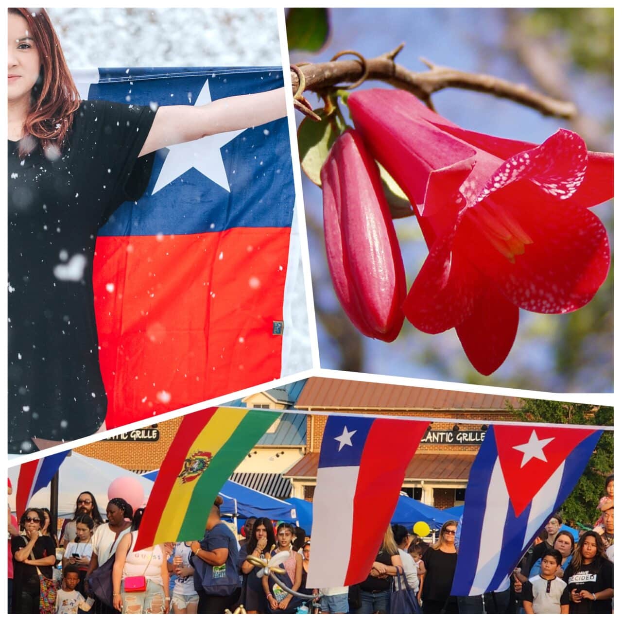 Collage image for Hispanic Heritage Month