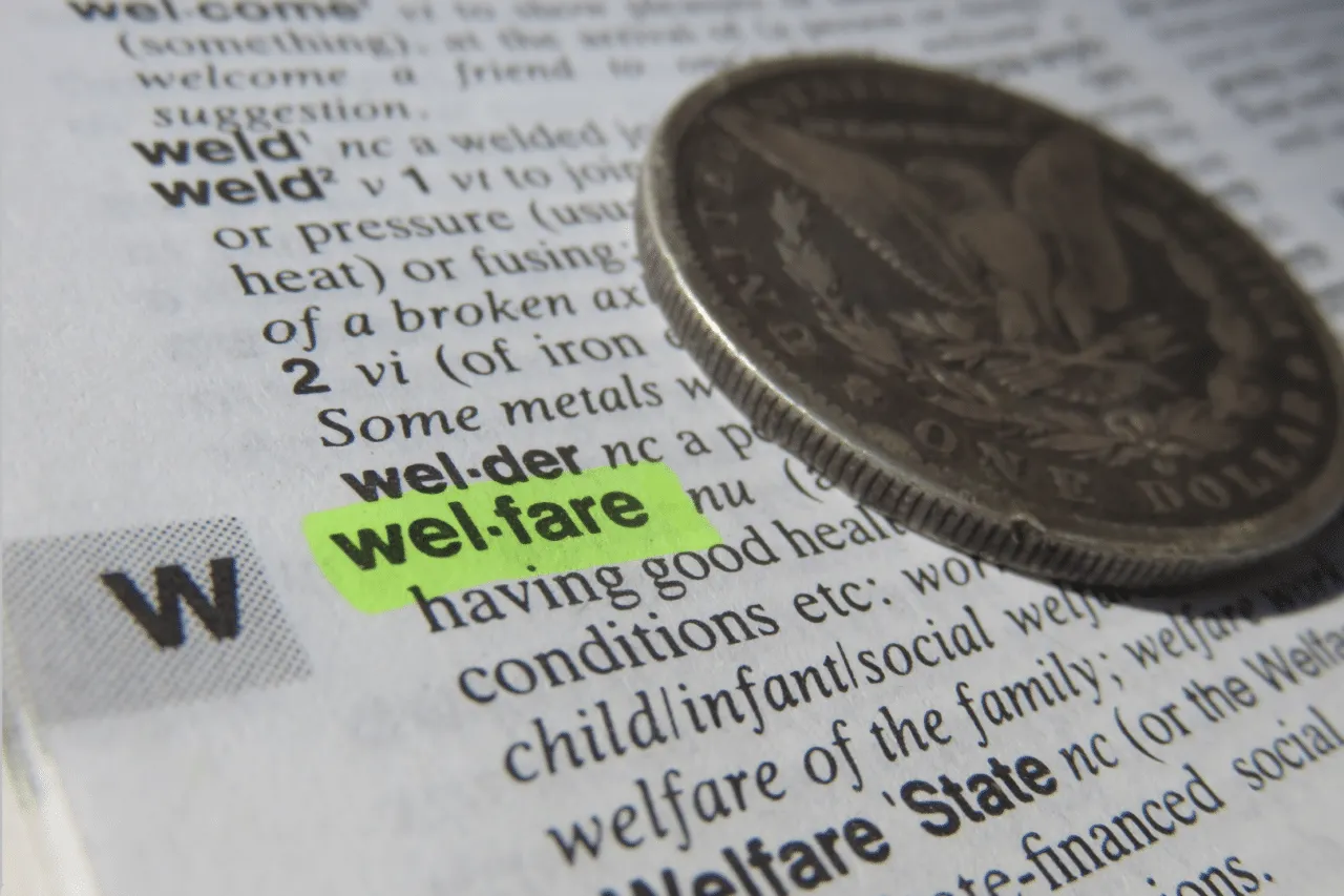 Dec #2 Blog - A Year in Review - Child Welfare Legislation Thumbnail