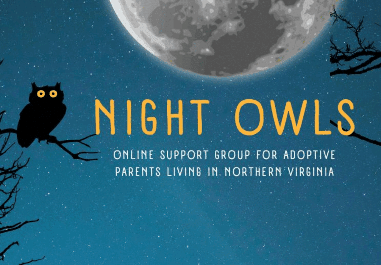 Night Owls 2025-2026 Adoptive Support Group Northern Virginia Thumbnail