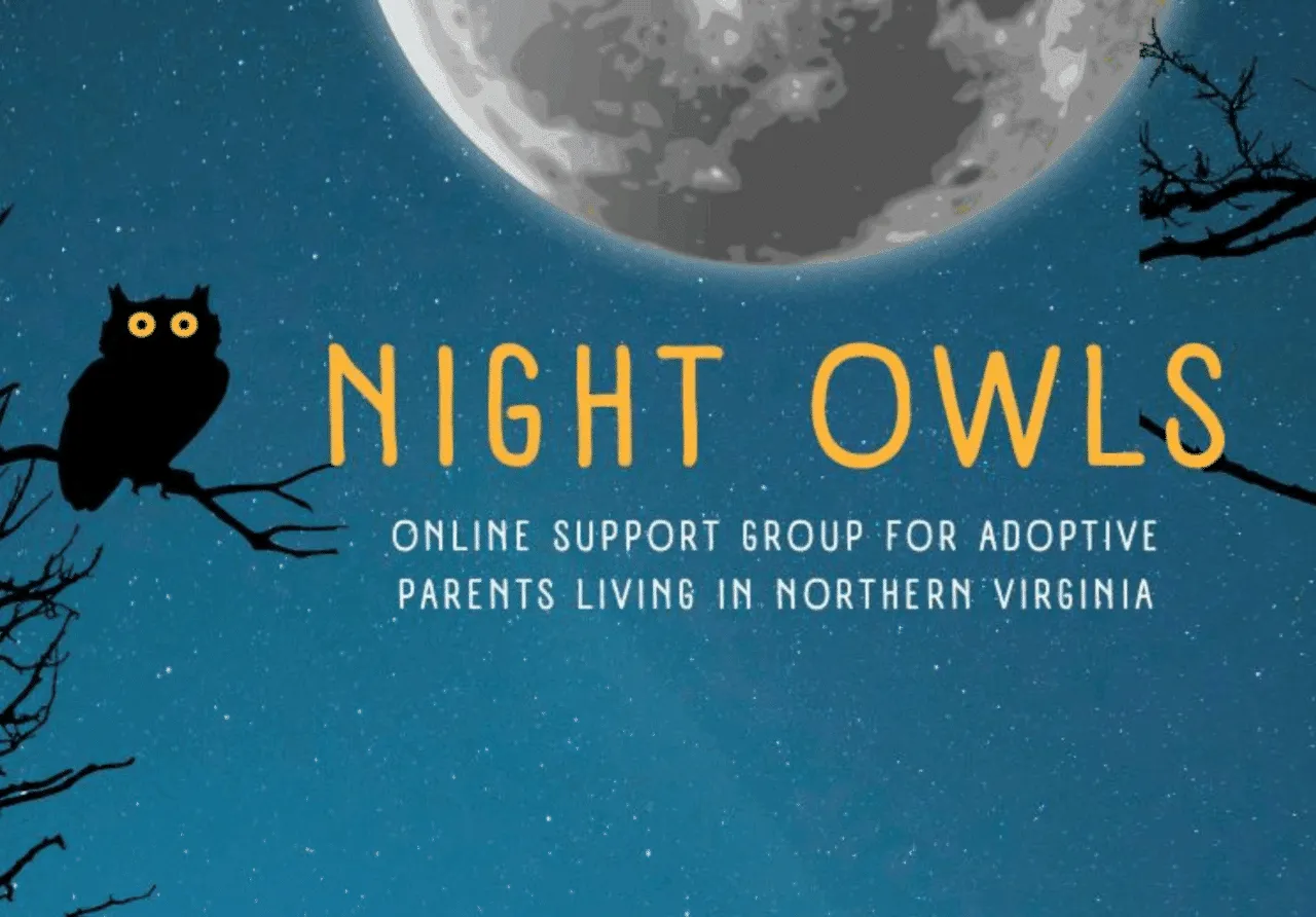 Night Owls 2025-2026 Adoptive Support Group Northern Virginia Thumbnail