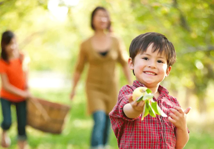 Young boy holding apple with parent in background holding basket in apple field