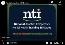 NTI Videos