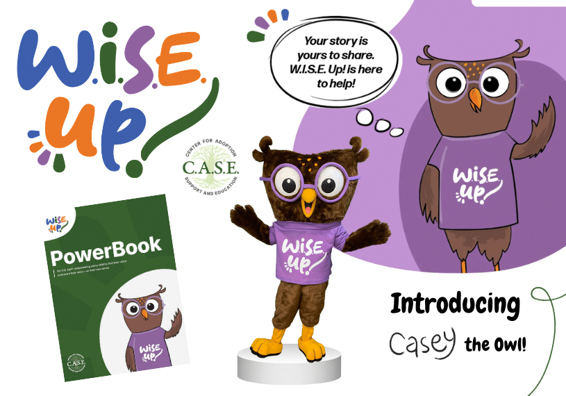 W.I.S.E. Up! Launch Web Slider