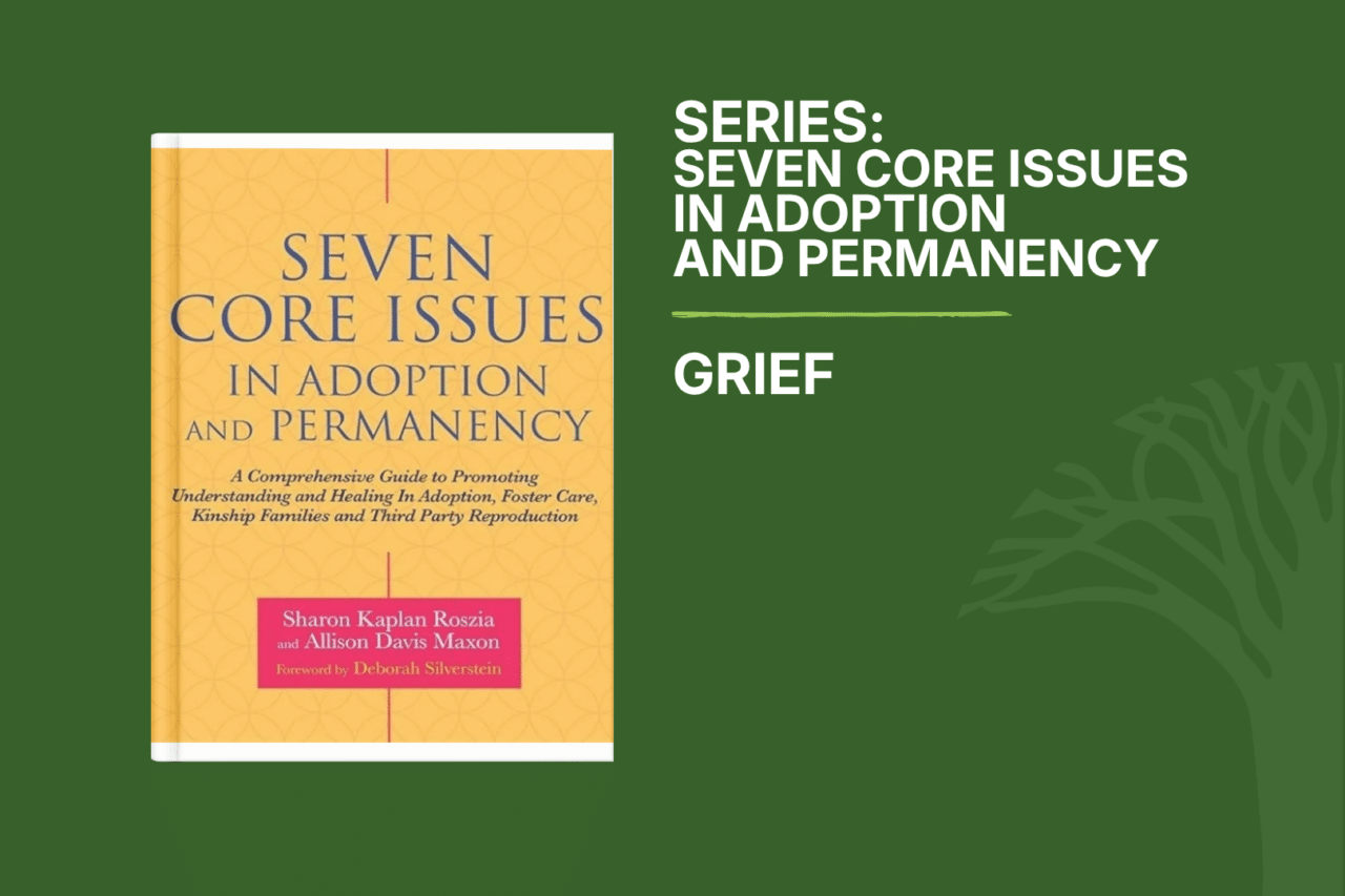 Seven Core Issues in Adoption & Permanency Shame Grief