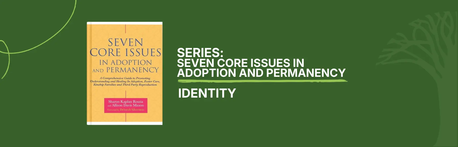 Seven Core Issues in Adoption & Permanency - Identity Horz. Image